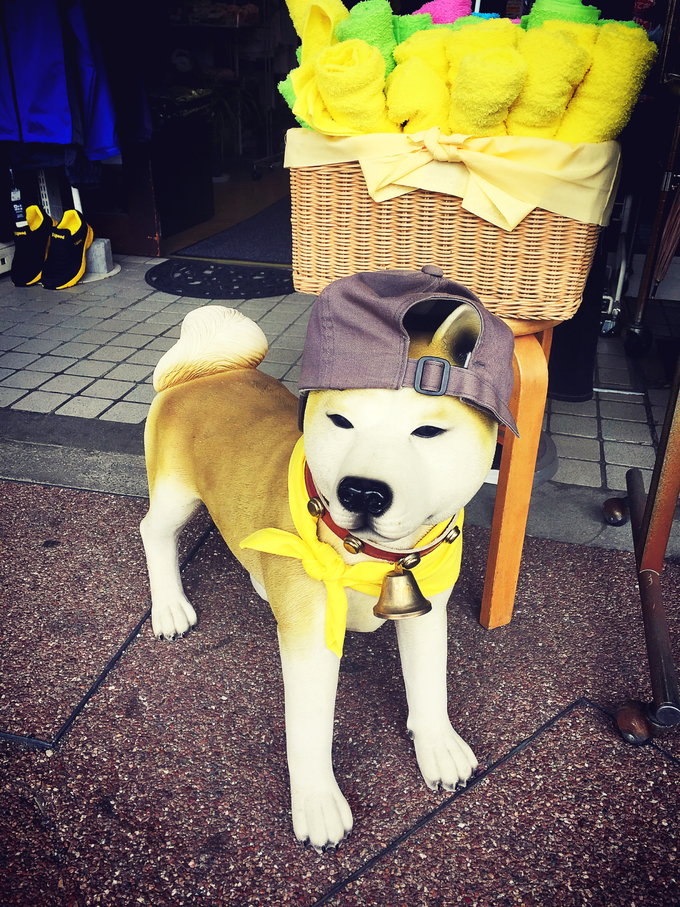 【不去会死】2016.春の小游-不走寻常路—日本升龙道,高山、白川乡）小丸子博物馆，附最新升龙道券使用报告