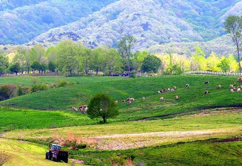 亲子游推荐去北京吗,暑期日本亲子游