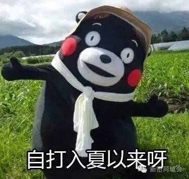 新密方中山斜对面烤全羊,新密烤全羊排行榜第一名