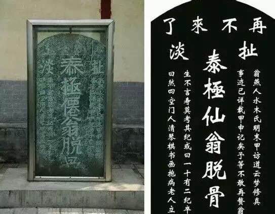 千年萌物大集结，到底谁才是真正的“*物文**萌主”！