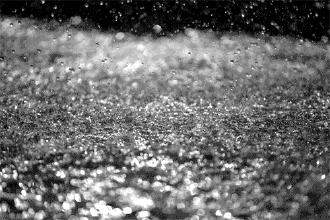 重庆崽儿与成都崽儿,重庆崽儿最新视频