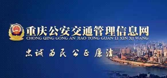 重庆崽儿与成都崽儿,重庆崽儿最新视频