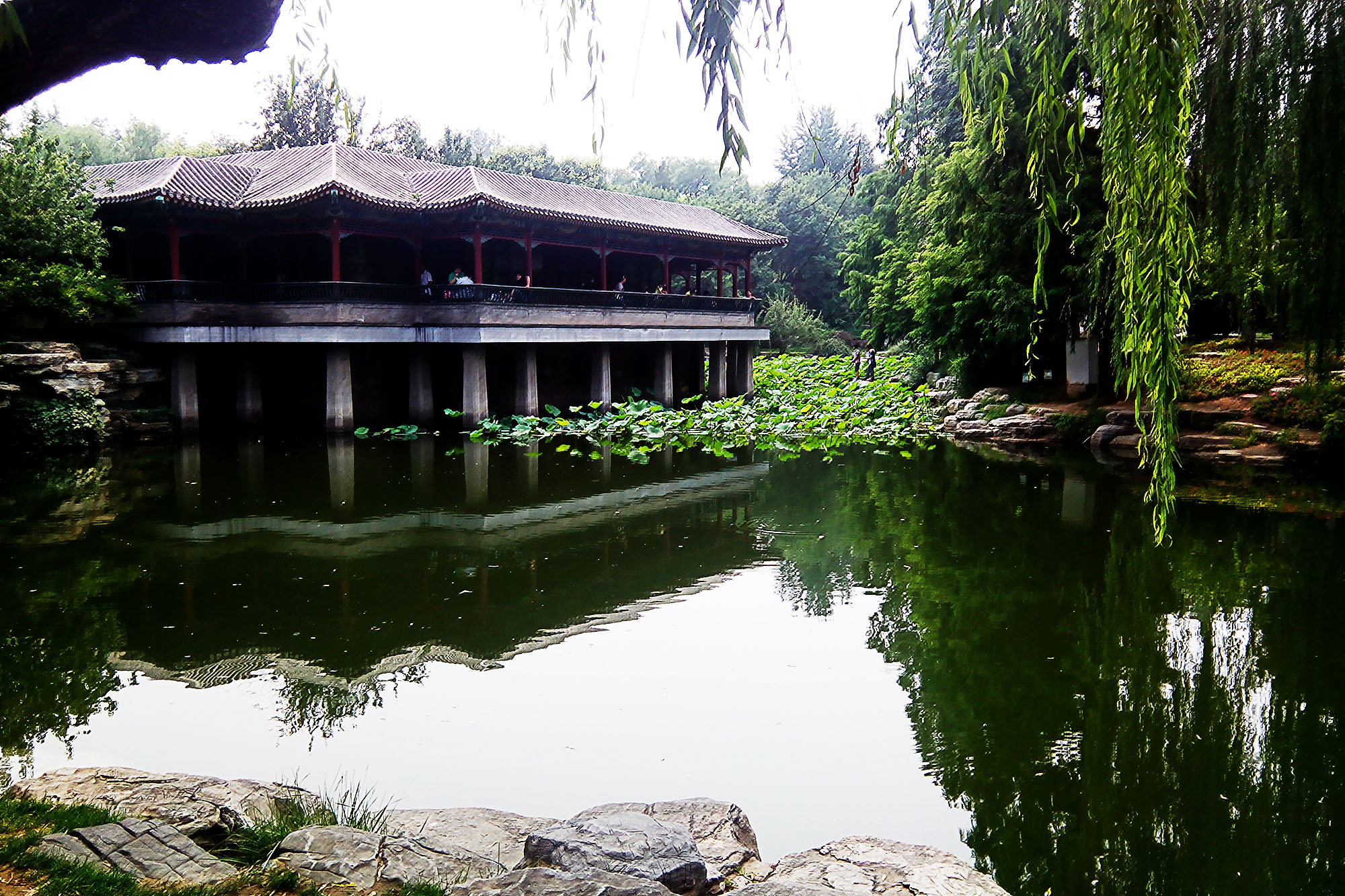 乐檬回归了完整版,乐檬回归