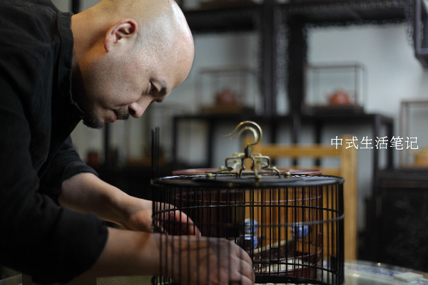 提笼架鸟说明什么,提笼架鸟视频
