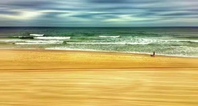 点赞他们的高光时刻,大家用手机拍出过什么好看的照片