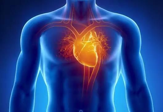 机械模拟正常心跳：新型纳米材料“心脏电网”