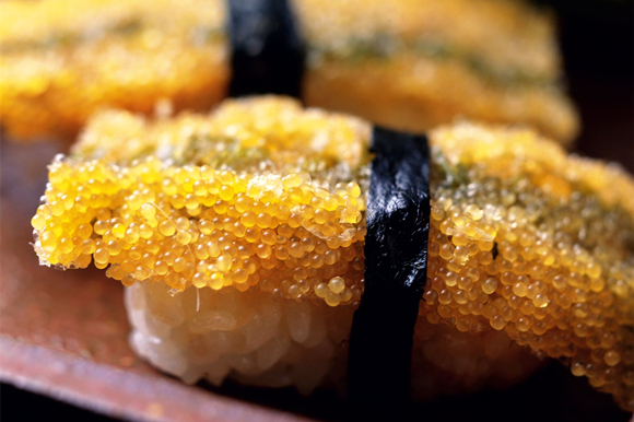 餐桌物种日历|4月20日大西洋鲱