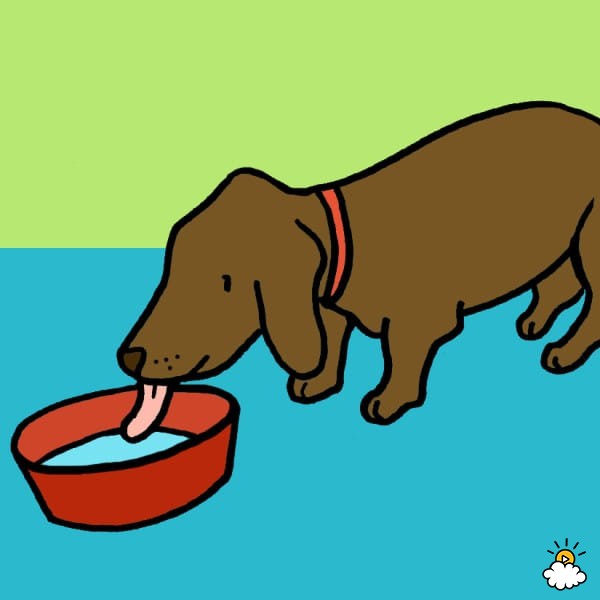 狗狗牙龈舌头发白是怎么回事,狗狗牙龈发炎吃甲硝唑吃几片