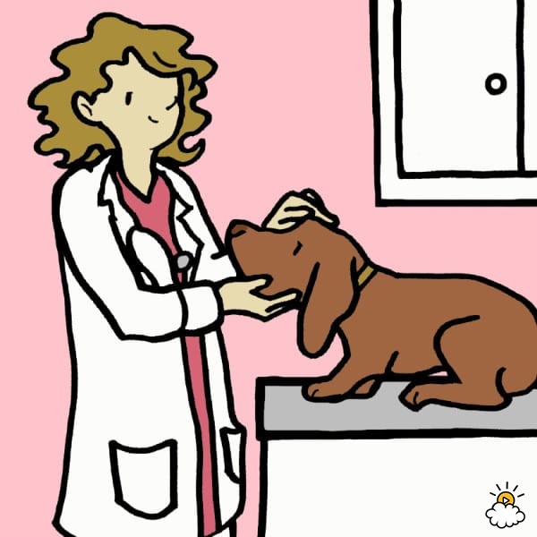 狗狗牙龈舌头发白是怎么回事,狗狗牙龈发炎吃甲硝唑吃几片