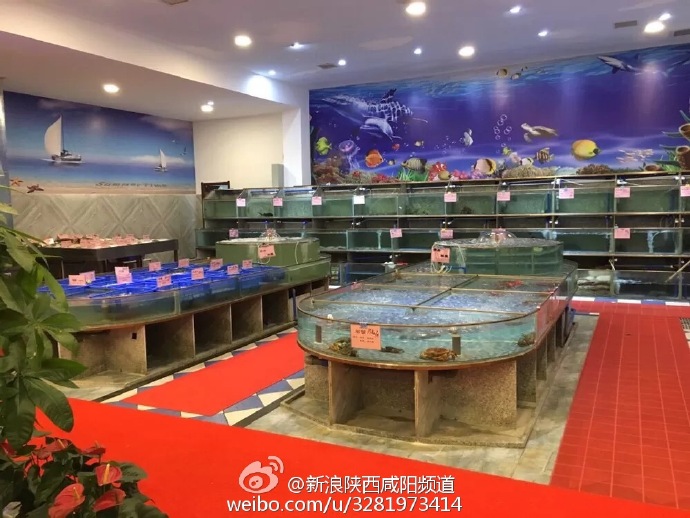 咸阳市吃海鲜的店,咸阳北门口海鲜美食