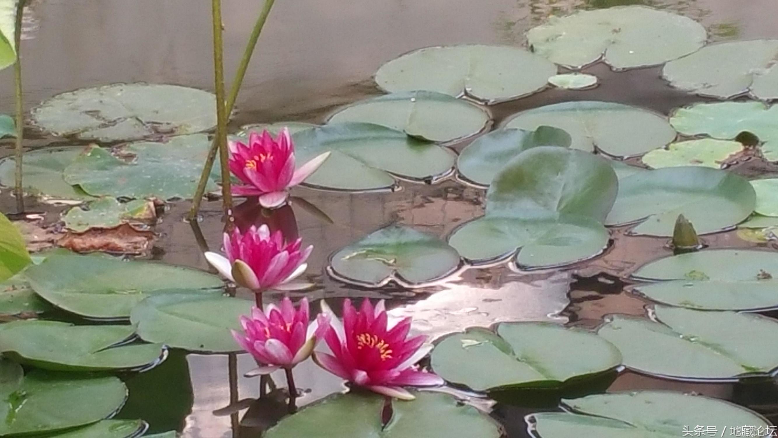 佛法常讲的三种过失,佛法中的罪过与过失