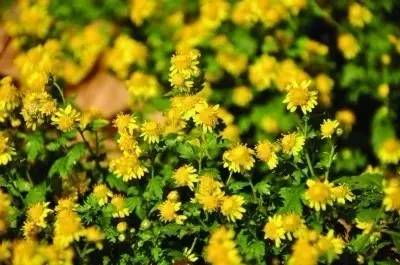 夏季感冒怎么办,预防夏季感冒