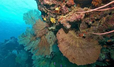 虽然你穷但是什么都懂,虽然你穷但是我爱你