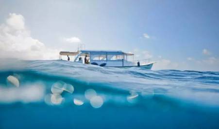 虽然你穷但是什么都懂,虽然你穷但是我爱你