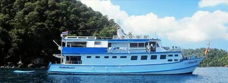 虽然你穷但是什么都懂,虽然你穷但是我爱你