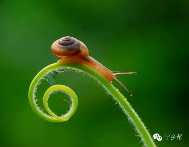 湖南乡村记实《童年杂记——虫伴》,值得一读!