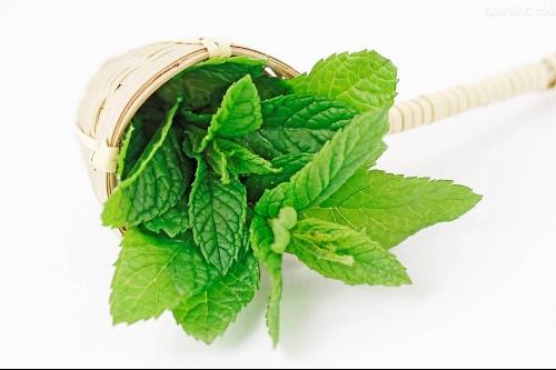 夏日驱蚊止痒必备神器,夏季驱蚊止痒神器排行榜