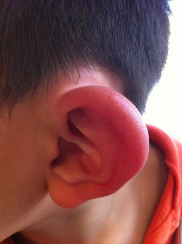 哪种驱蚊产品最好用,哪种驱蚊产品真正有用