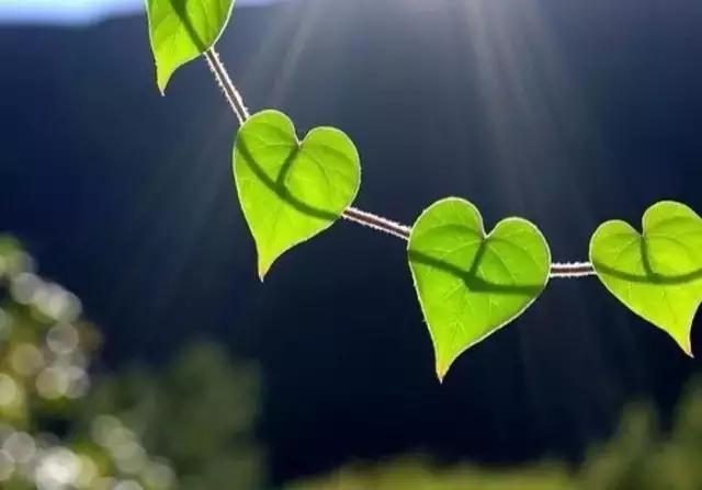 与你在生命里相逢,在生命最深处与自己相遇