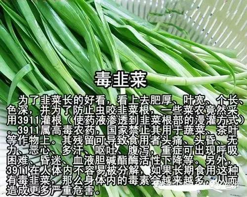 地沟油吃起来和正常油有什么区别,食用油和地沟油有什么区别