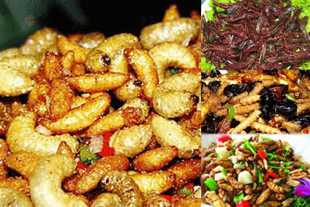 “嚼蛆”一语的由来，原来古人真好这一口，但吃法很特别