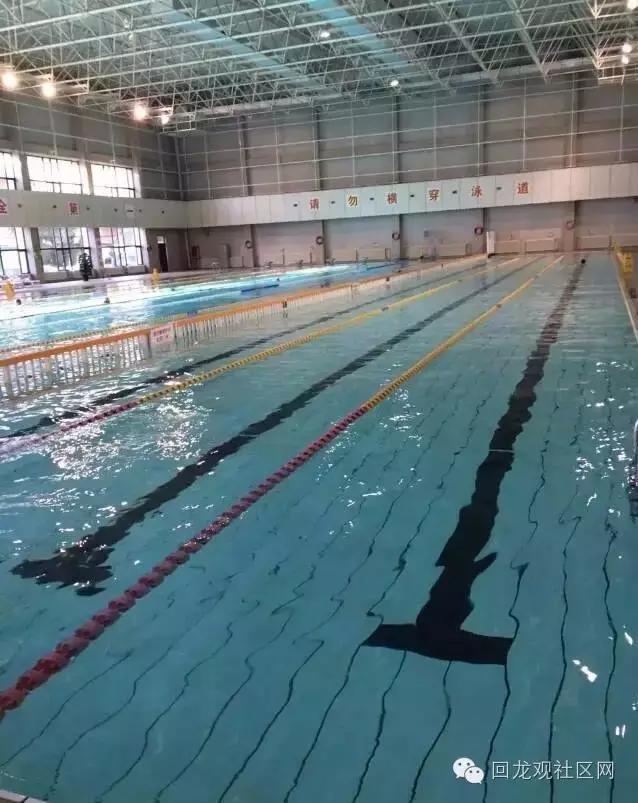 北京回龙观最便宜的游泳地方,回龙观游泳馆推荐自己游
