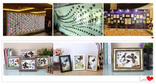 太原惊现史上最虐心的蝶萤文化节！爱我就带我去与蝶共舞、与萤作