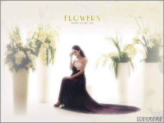 v2视觉婚纱摄影风格,婚纱摄影多元素摄影推荐