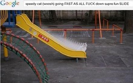 狗狗为什么如此热衷于拆家,拆家的狗狗该不该打