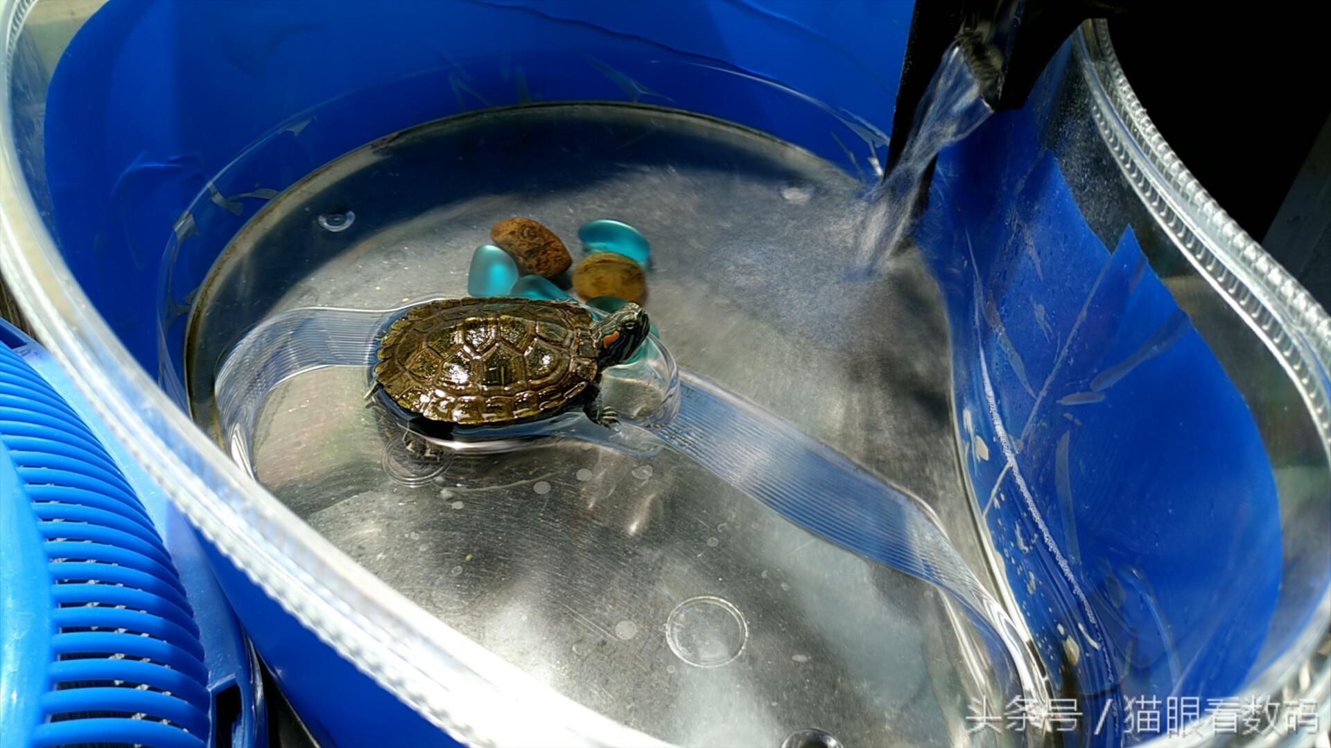 努比亚z11详解,努比亚z11测试