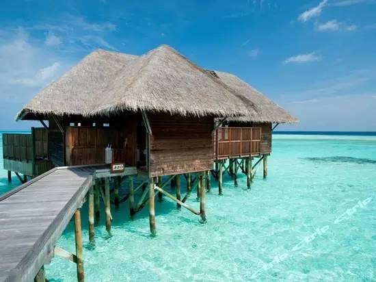 马尔代夫蜜月岛度假村,马尔代夫十大豪华度假村