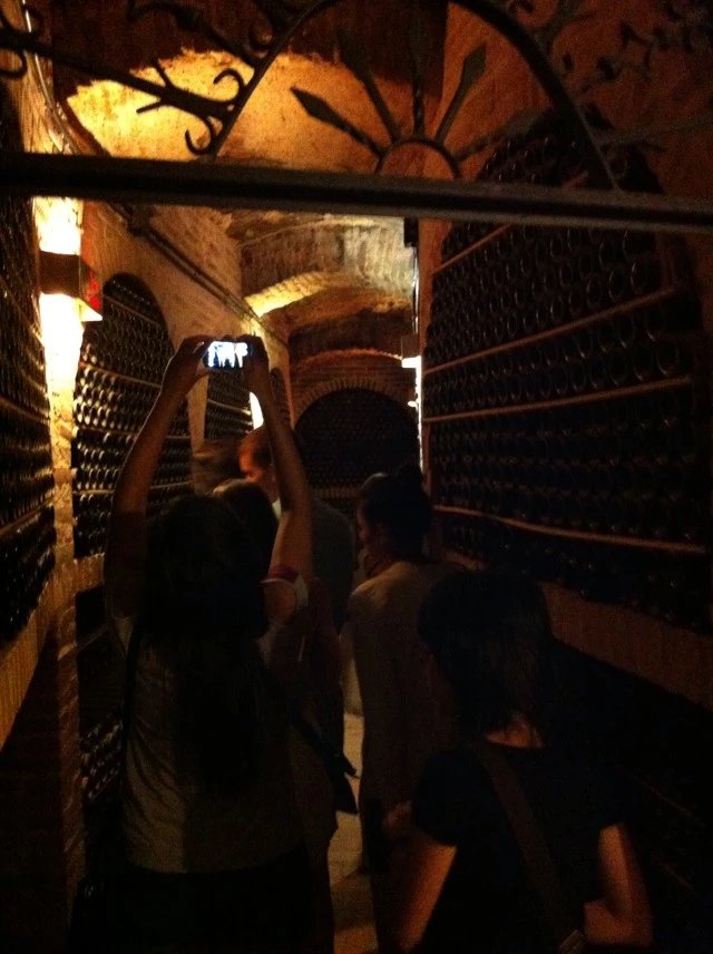 西班牙抗衰老护肤品,西班牙本土护肤品牌