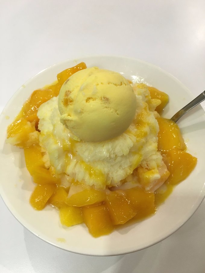 一路惊喜旅行,一路惊喜飞鸟和蝉