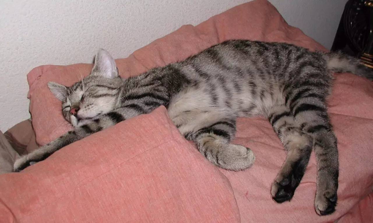 福利贴︱中国科技馆里的高考元素