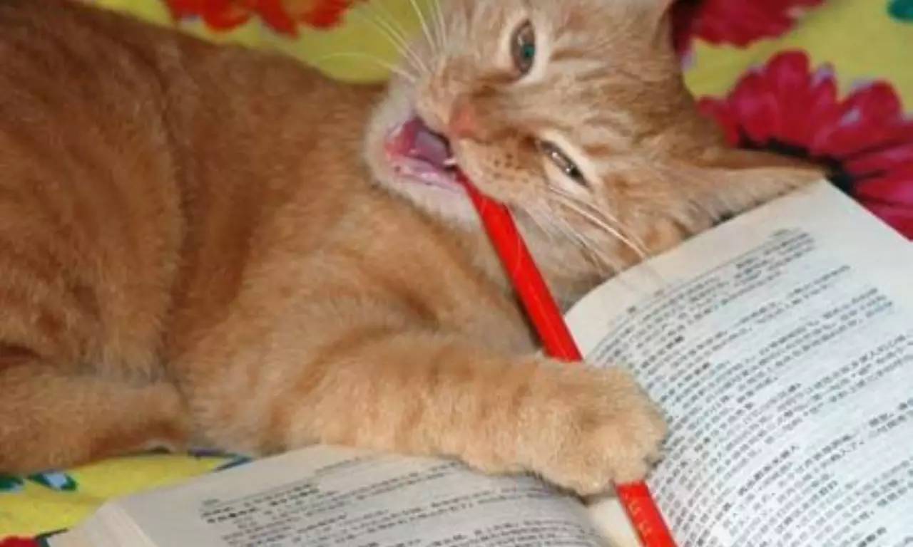 福利贴︱中国科技馆里的高考元素