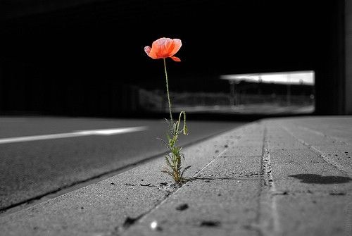 如果想改变自己怎么做,想要改变性格的办法是什么