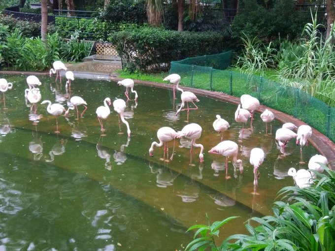 端午吃喝玩乐一条龙,端午出游吃喝玩乐