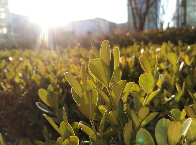 360奇酷手机旗舰版价格,360手机奇酷极客版