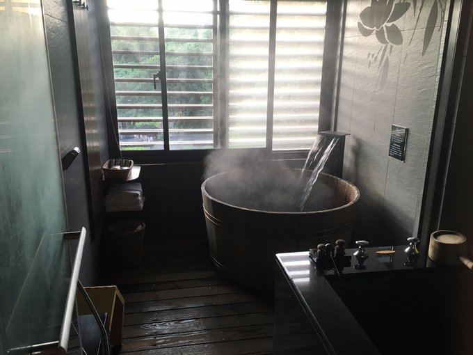 一路惊喜旅行,一路惊喜飞鸟和蝉