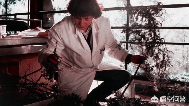 白蛋白紫杉醇副作用多久减轻,卡铂白蛋白紫杉醇化疗副作用