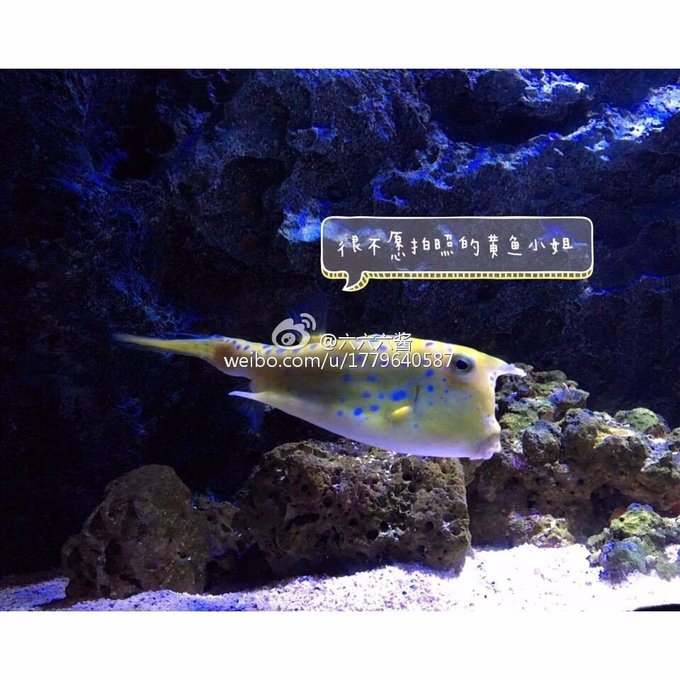 普吉岛7日游价格表大全图,泰国图片普吉岛