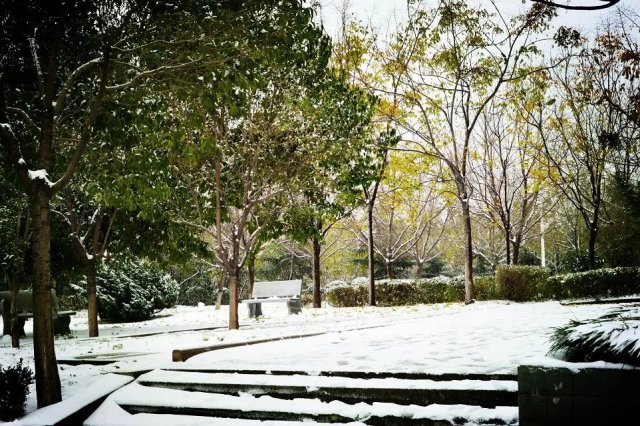 城建精致程度,城建分数不够能上不