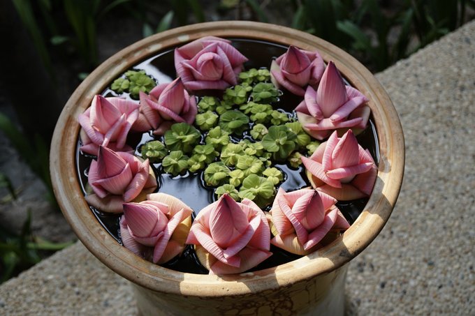 探访桑香佛舍，梦回须弥胜境