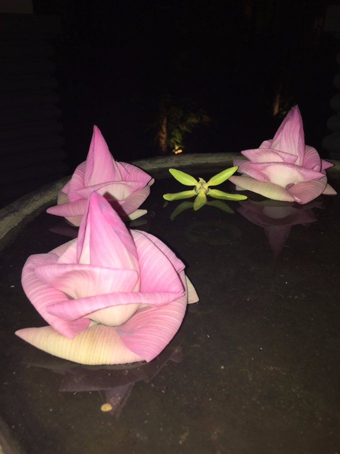 探访桑香佛舍，梦回须弥胜境