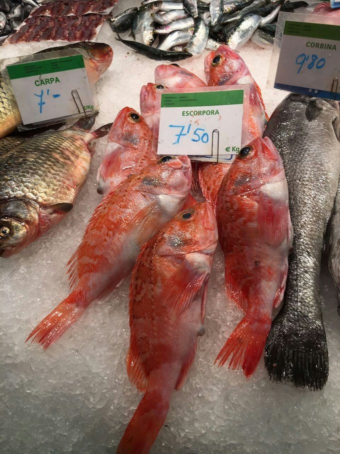 西班牙游记全集,西班牙旅行记