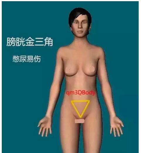 人体有八大危险三角区你应该知道,人体最危险的三角区