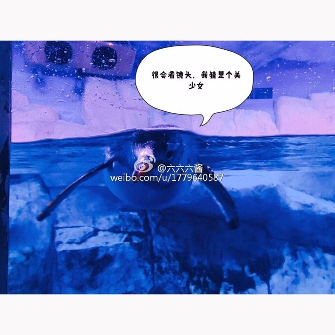 普吉岛7日游价格表大全图,泰国图片普吉岛