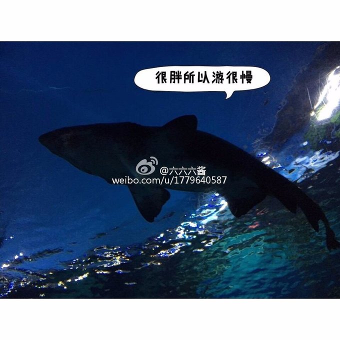 普吉岛7日游价格表大全图,泰国图片普吉岛