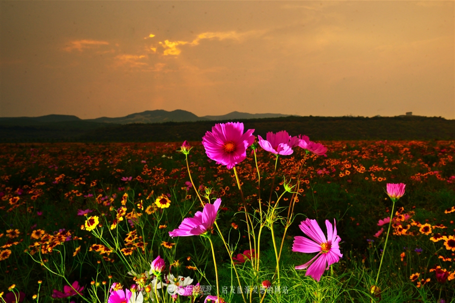红石沟油菜花,红石沟秋景
