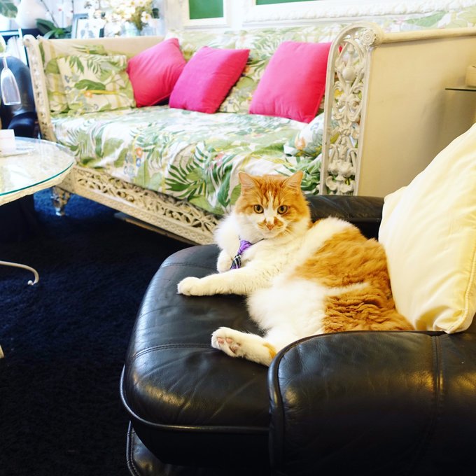 travel的一天,巴黎周末游玩攻略中文